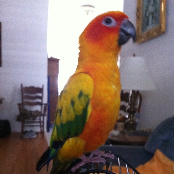 Meet your Posher, Shelley - Picture 5 of 8